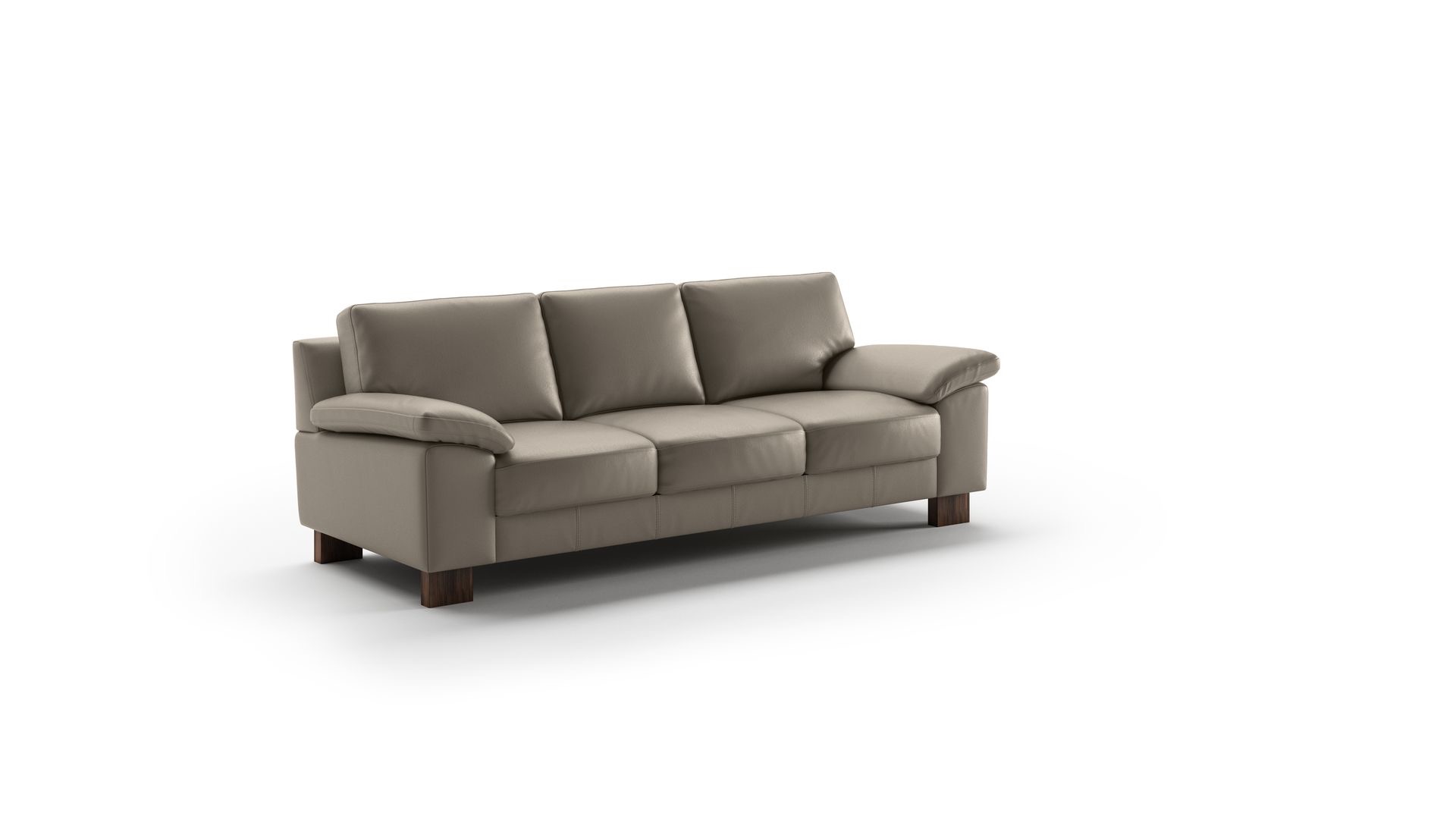 Poet Sofa Labrador 24