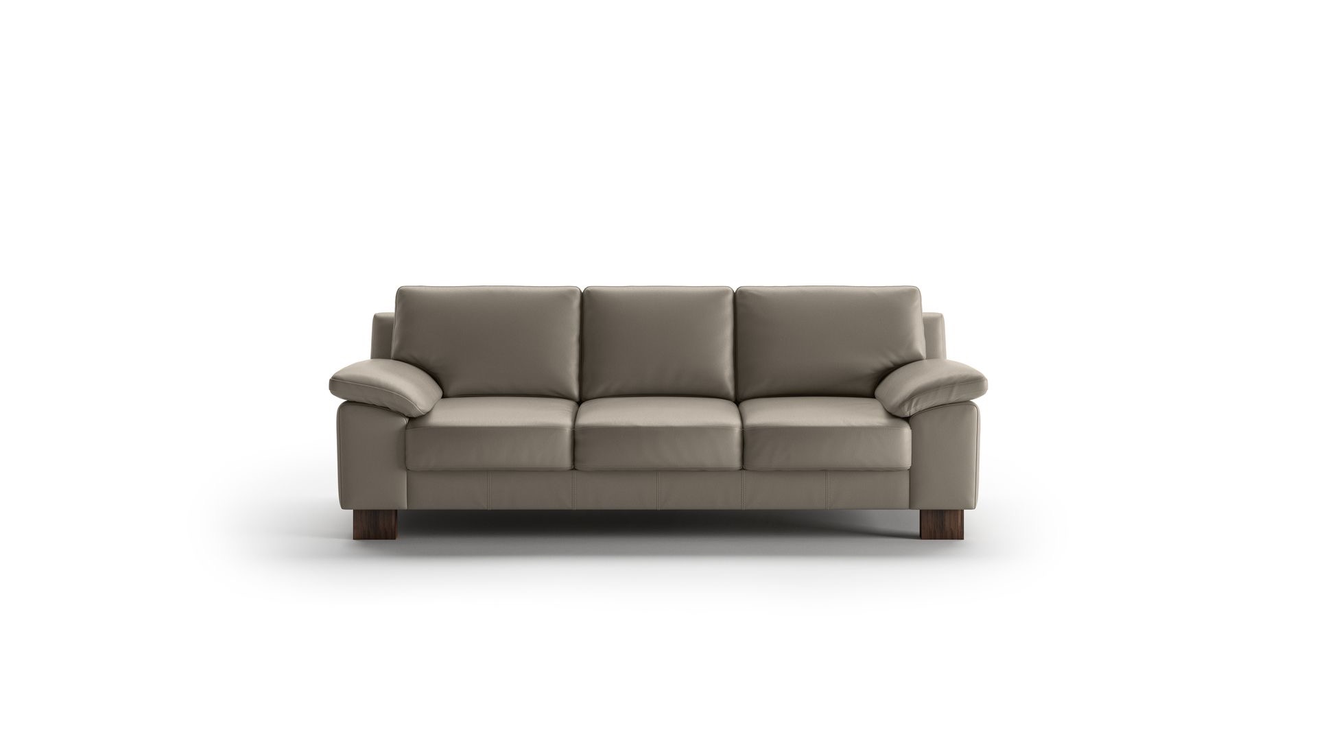 Poet Sofa Labrador 24