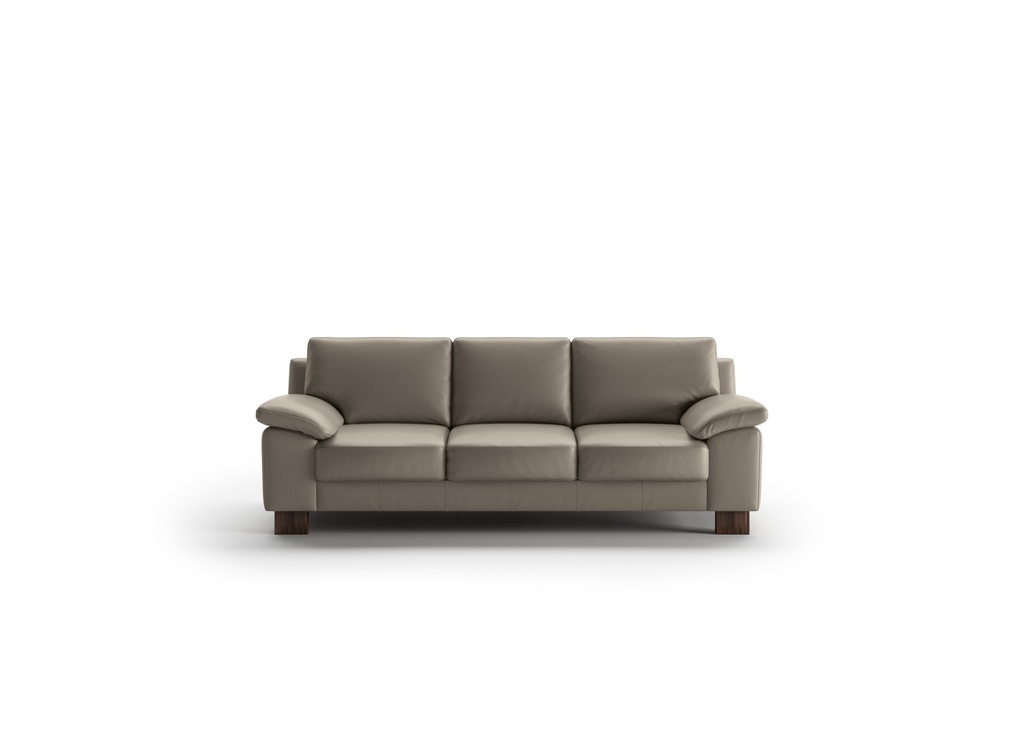 Poet Sofa - Labrador 24 - 115/12 Walnut (DROP)