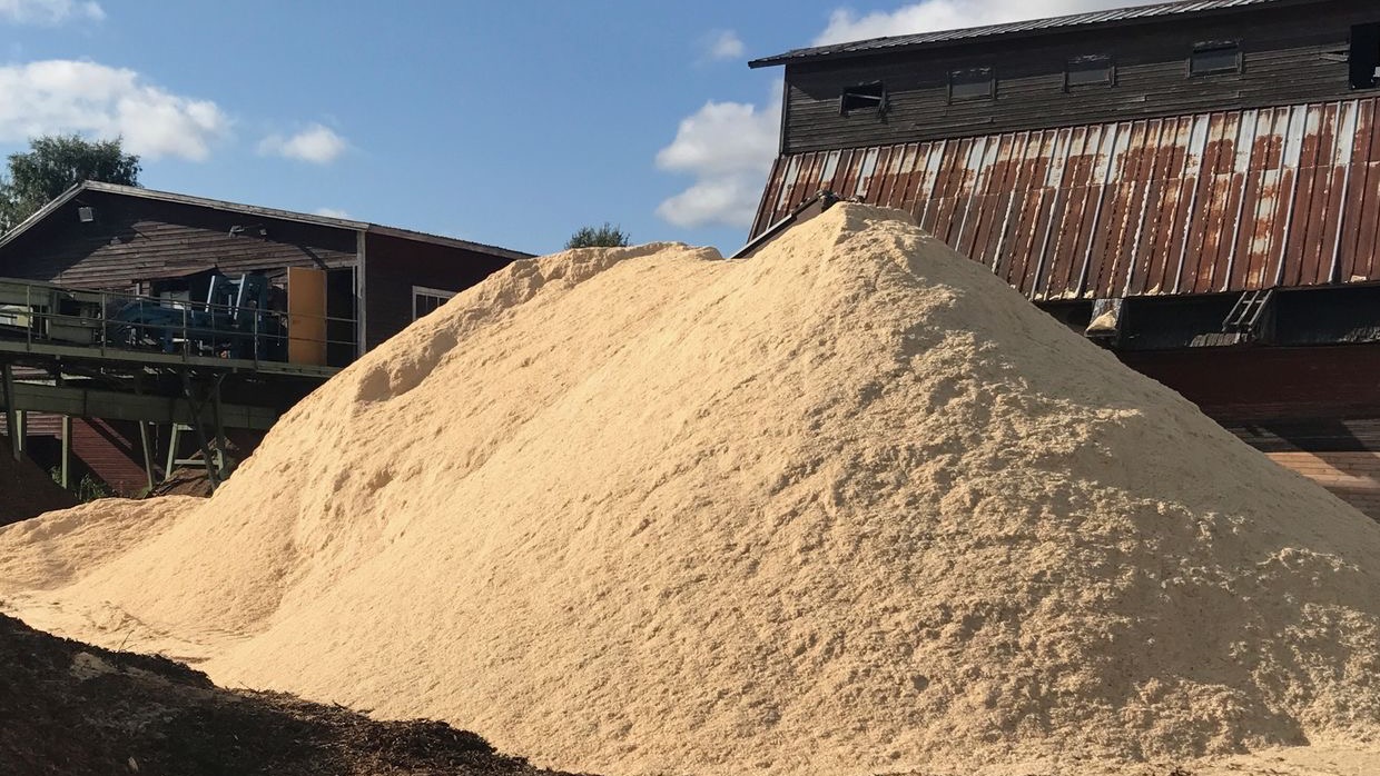 Saw dust mound from the weekly cutting production