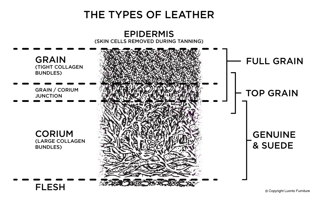 Decoding Leather Luonto Furniture decoding-leather-luonto-furniture