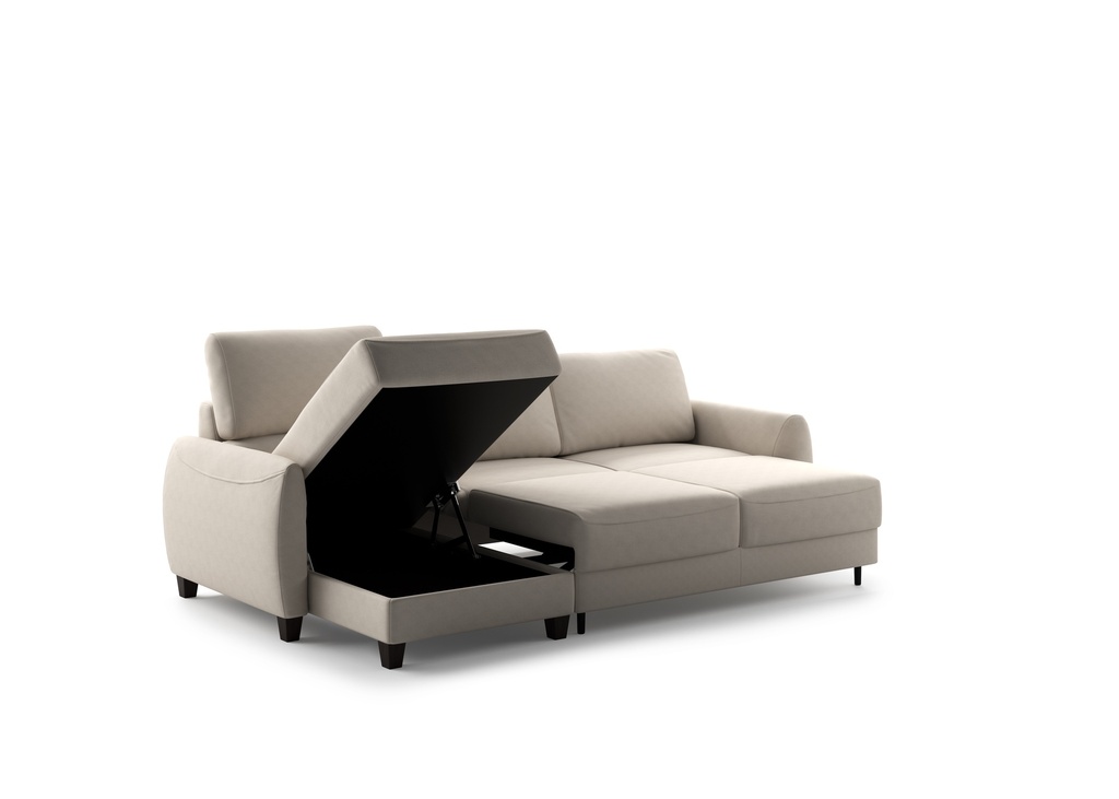 Delta Sectional (Chaise Reversible + Loveseat Sleeper)