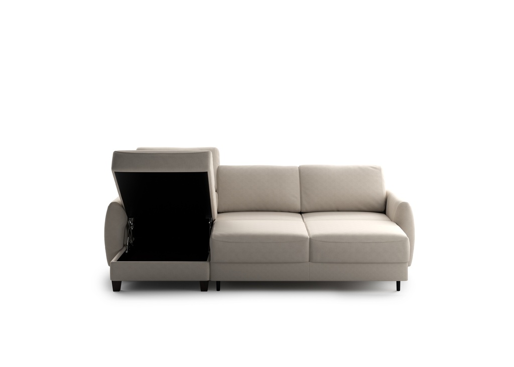 Delta Sectional (Chaise Reversible + Loveseat Sleeper)