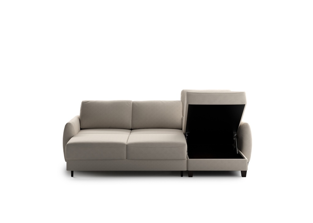 Delta Sectional (Loveseat Sleeper + Chaise Reversible)