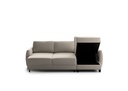 Delta Sectional (Loveseat Sleeper + Chaise Reversible)