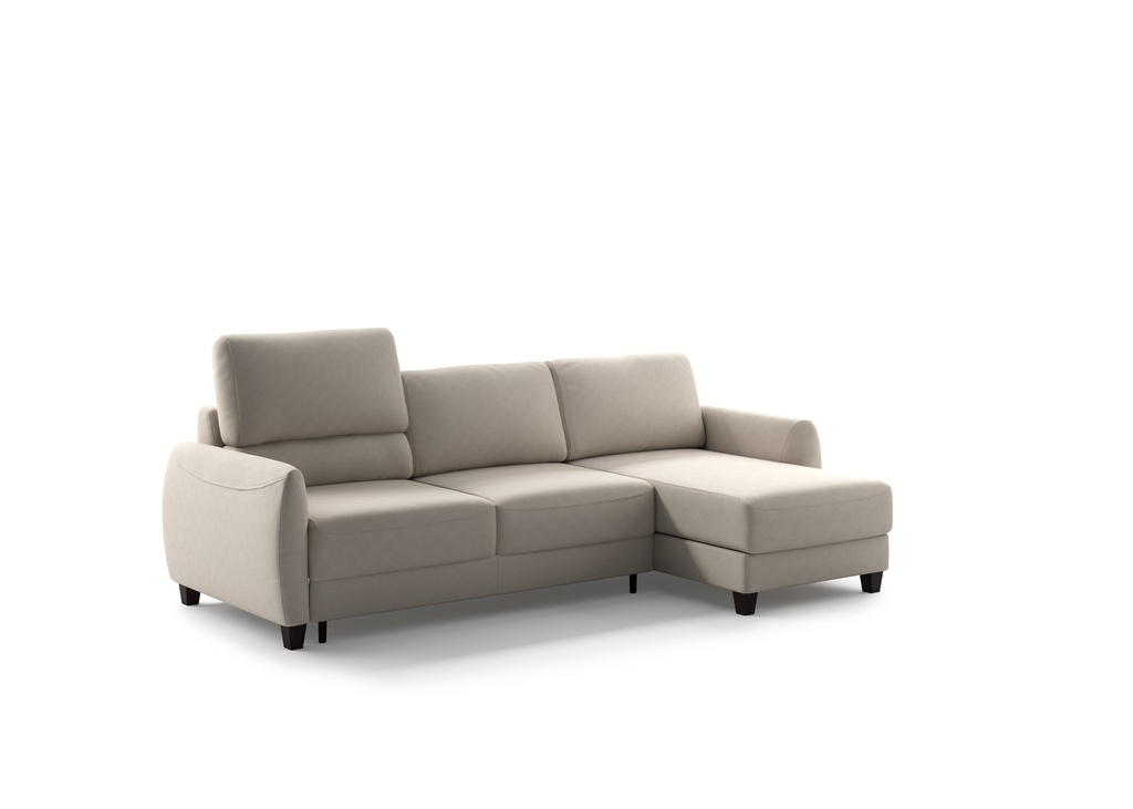 Delta Sectional (Loveseat Sleeper + Chaise Reversible)