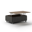 Functional Coffee Table