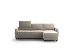 Delta Sectional (Chaise Reversible + Loveseat Sleeper)