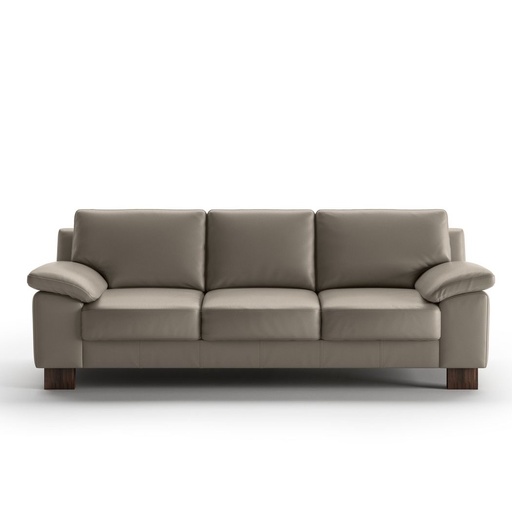 [W-Poet-3] Poet Sofa