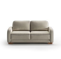 [W-Leon-C/LEV/GAS] Leon Queen Size Loveseat Sleeper