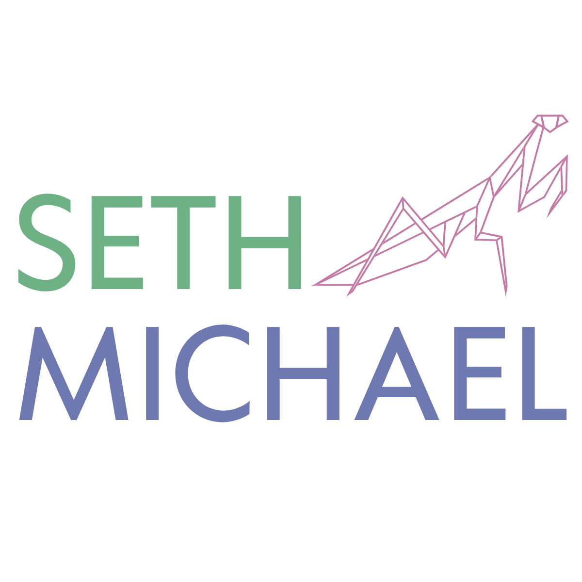 Seth Michael